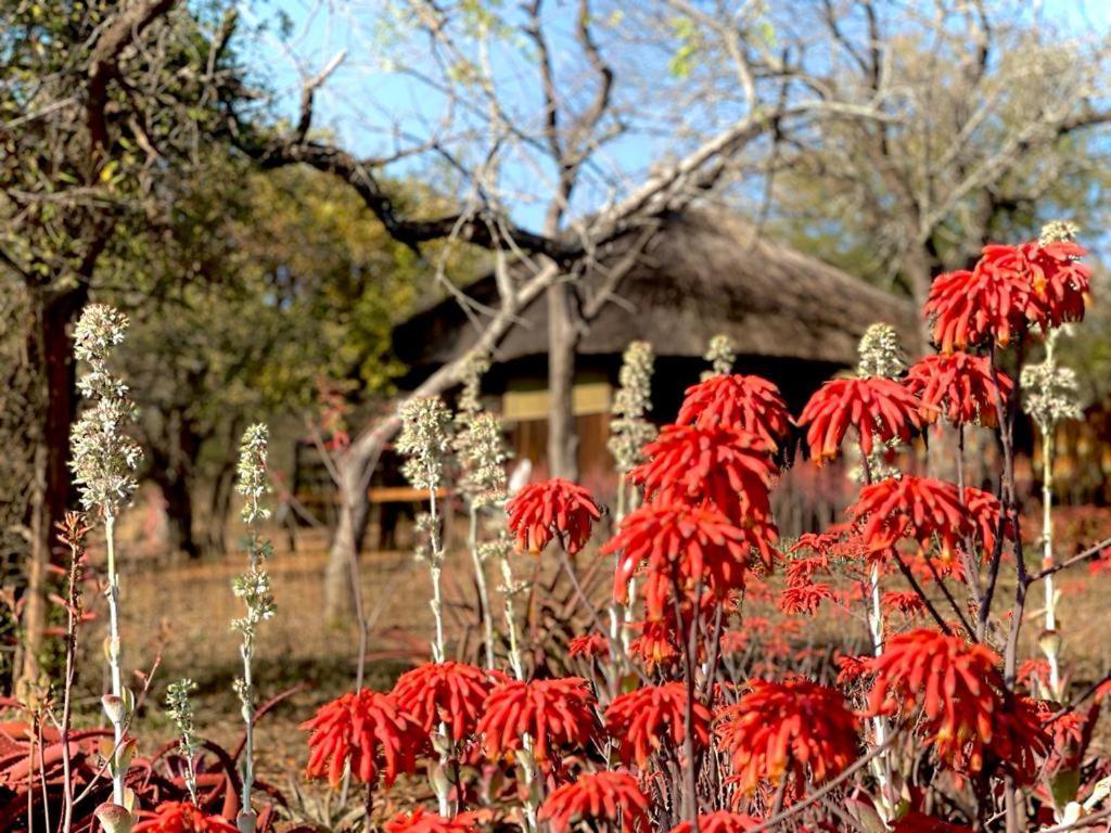 Shayamoya Tiger Fishing And Game Lodge Pongola Exterior photo