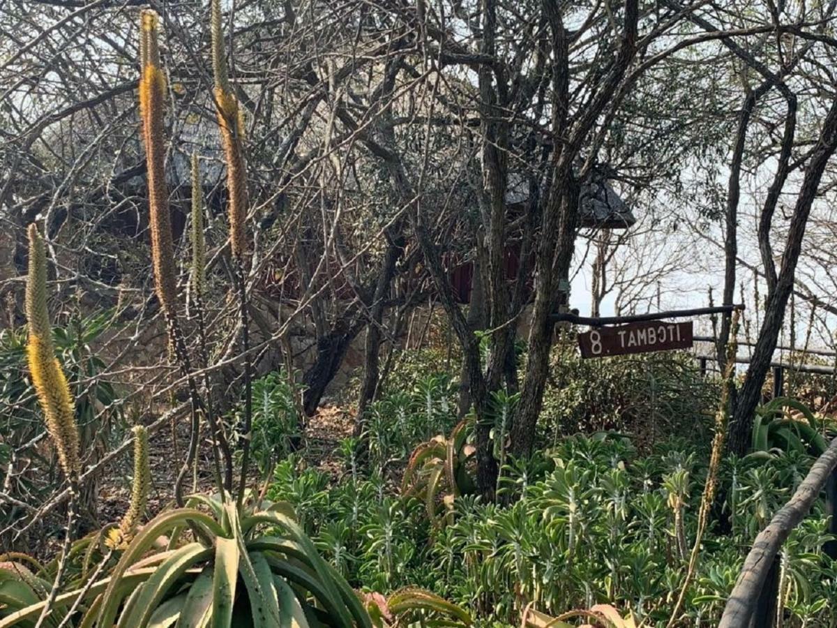 Shayamoya Tiger Fishing And Game Lodge Pongola Exterior photo